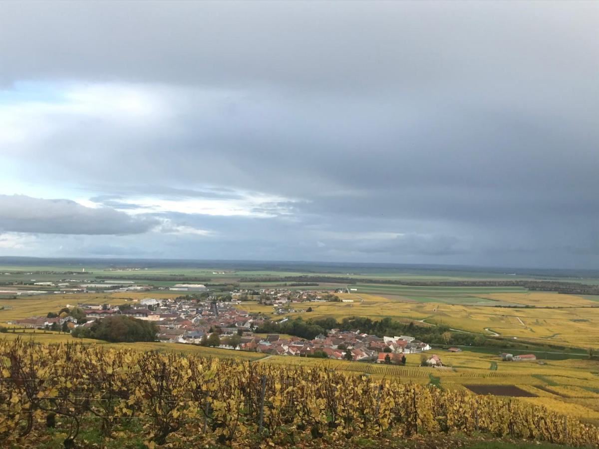 Les Cepages Panzió Le Mesnil-sur-Oger Kültér fotó