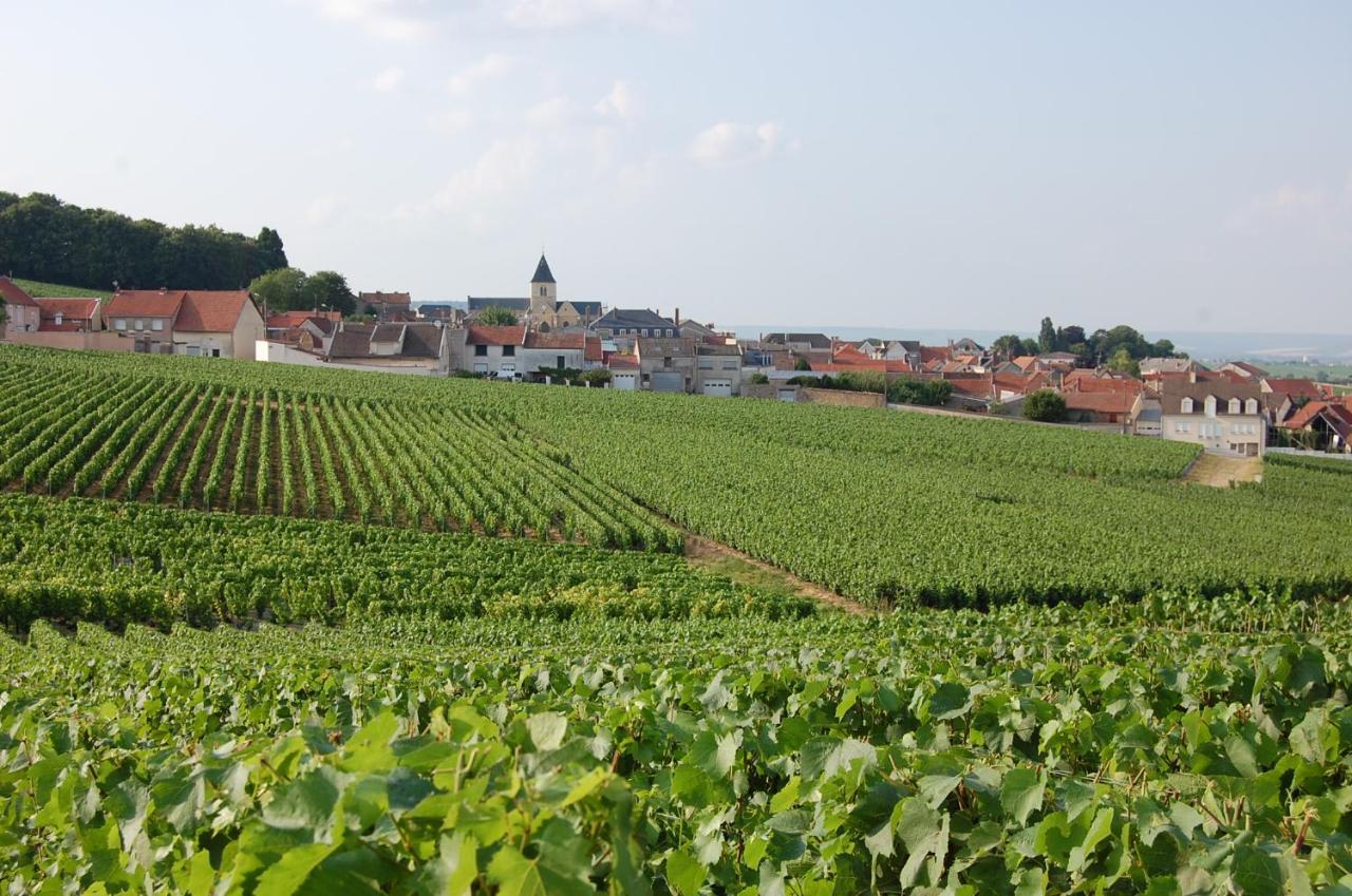 Les Cepages Panzió Le Mesnil-sur-Oger Kültér fotó